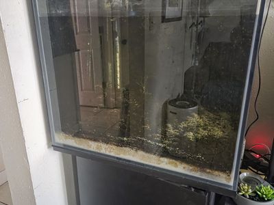Aquarium setup good for aquascaping