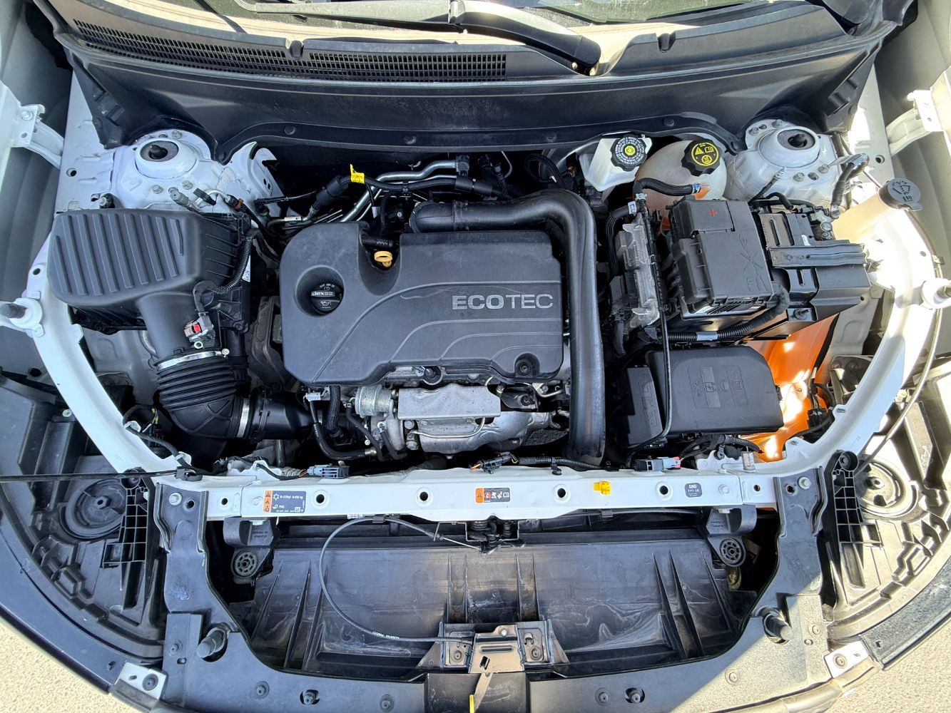 Main image 4