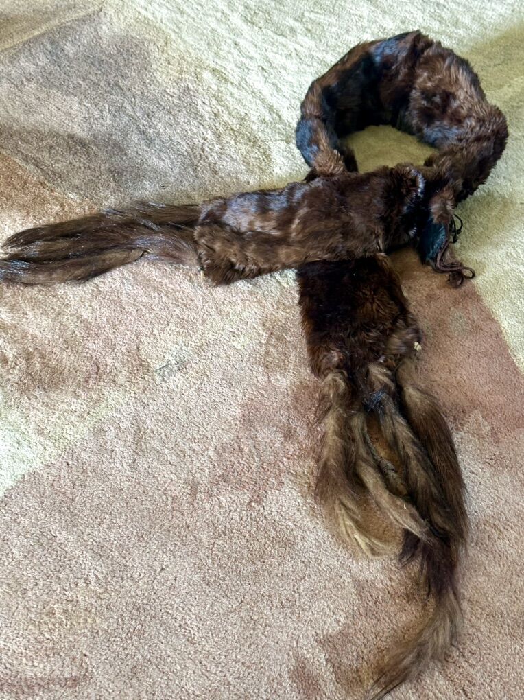 Beautiful Vintage Mink Collar/Stoll