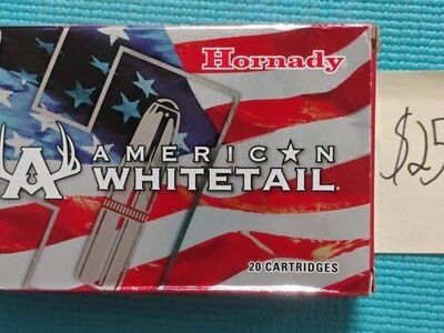 300 win mag rifle ammo