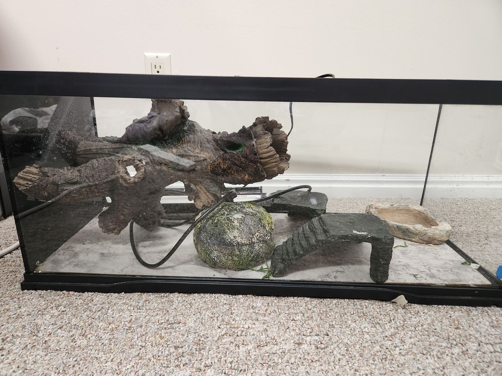 FREE - 20 Gallon Enclosure/Aquarium