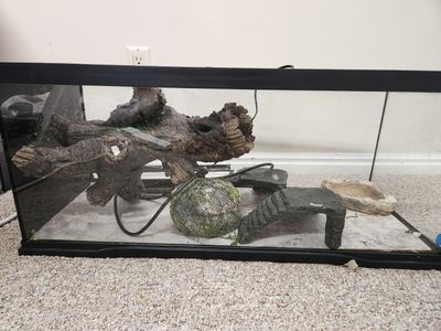 FREE - 20 Gallon Enclosure/Aquarium