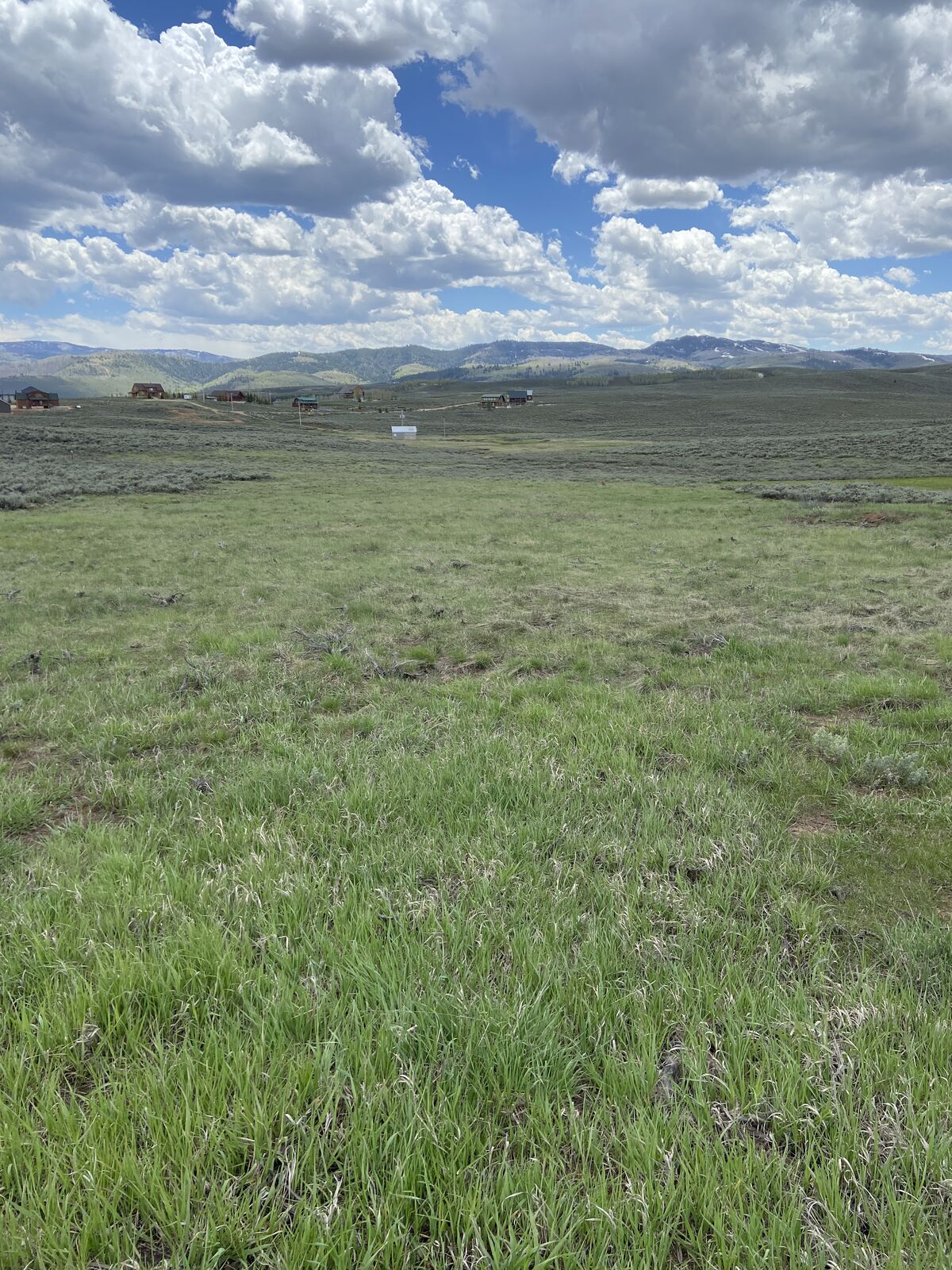 Strawberry Lakeview Property