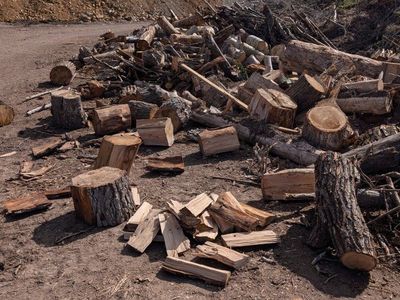 Firewood, Wood, Logs, Log Homes 35 dollars a cord