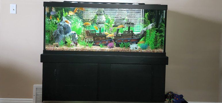 75 gallon aquarium with stand and more