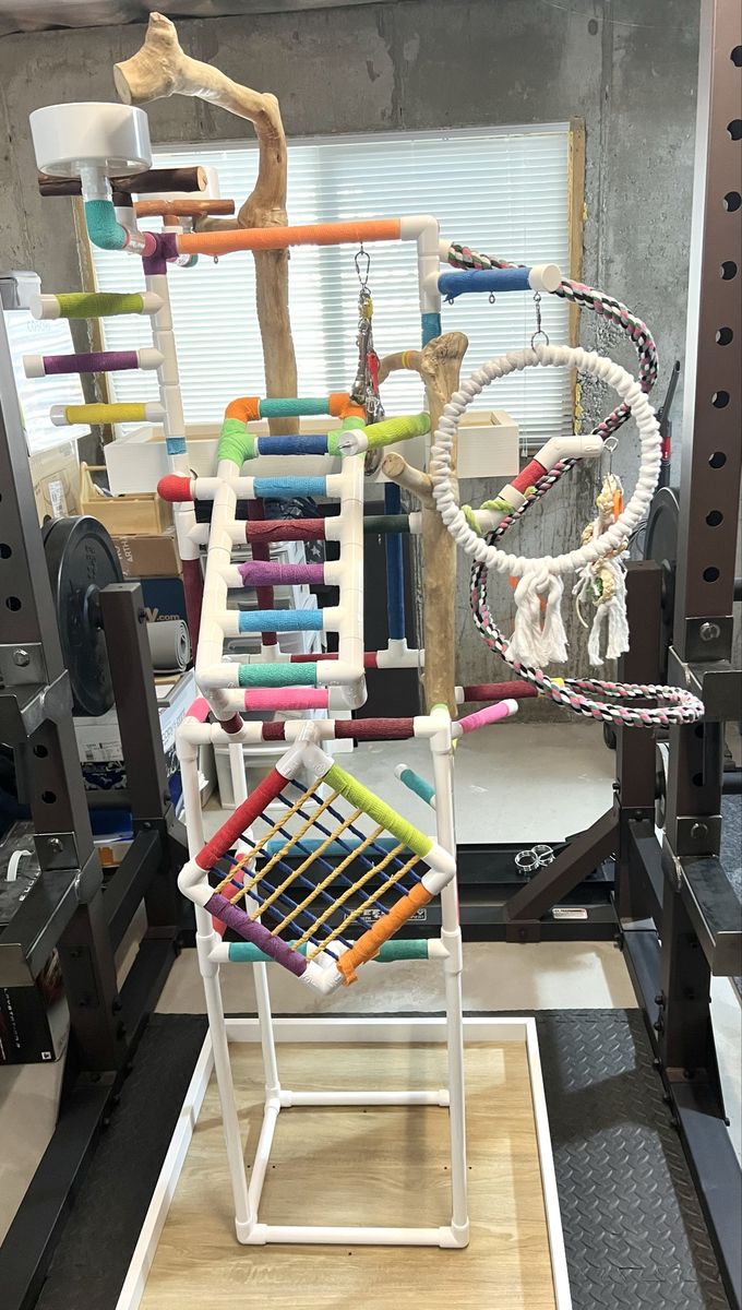 Parrot Play Stand