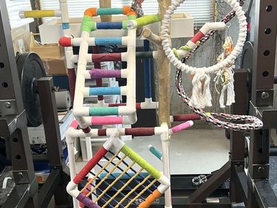 Parrot Play Stand
