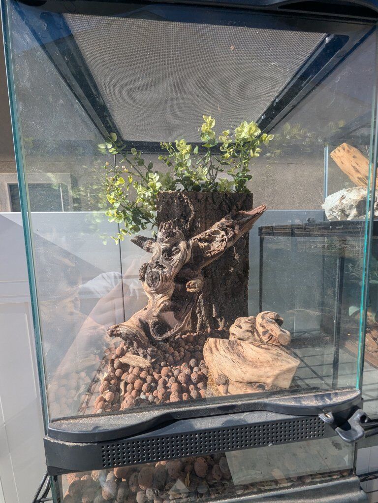 12 x 12 x 19. zoo med tank