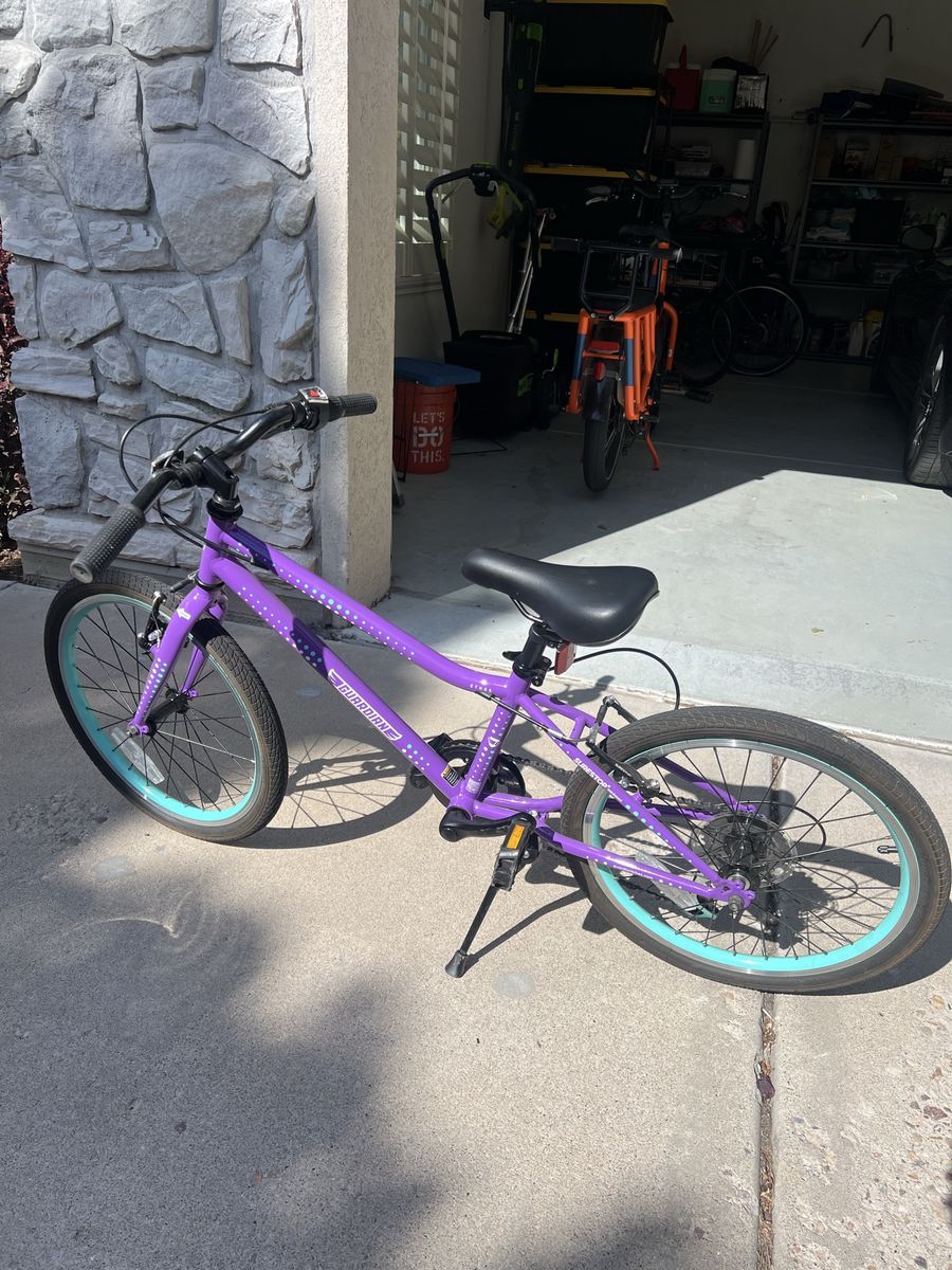 20 inch guardian bike- great condition