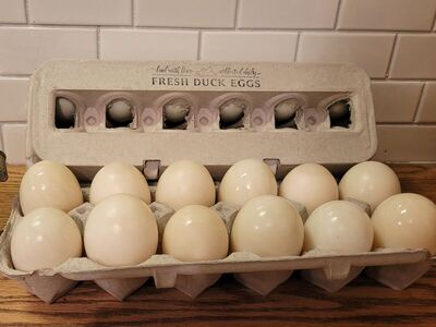 Farm fresh duck eggs