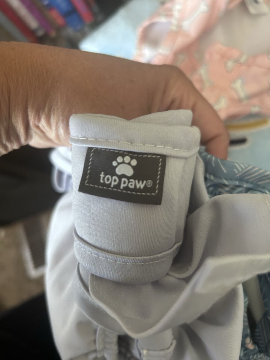 Dog diapers