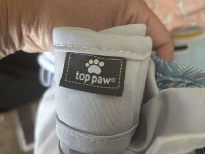 Dog diapers