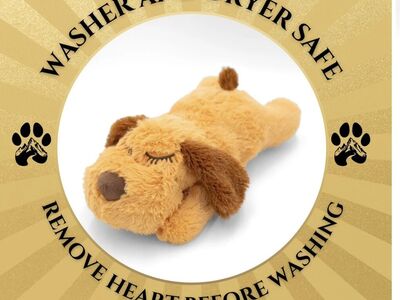 Give Your New Puppy A comforting Friend