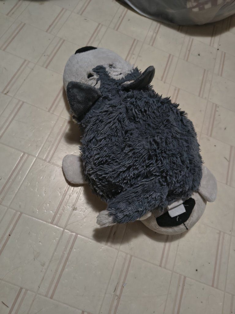 Main image 69