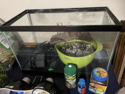 10 gallon tank with turtle stuff