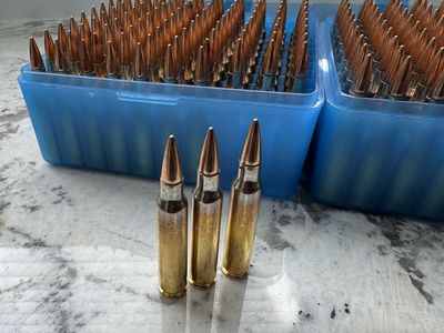 223 Ammo - 200 New Rounds In Flip Top Cases