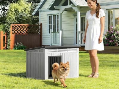 Bifanuo Outdoor Indoor Dog House for Small to Medium Dogs