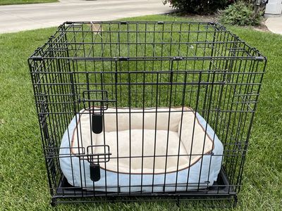 24” long x 18” wide x 20” high dog kennel crate with bedding