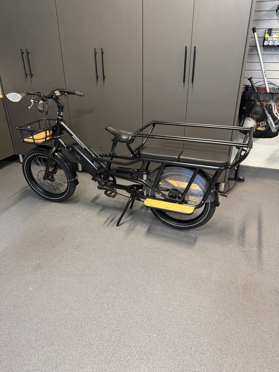 RadWagon Power Bike Electric Cargo Bike - Used, Excellent Condition