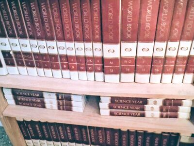 Workdbook Encyclopedias. 1985 set, plus annuals