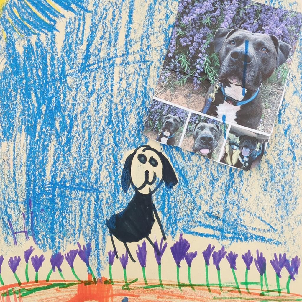Main image 3