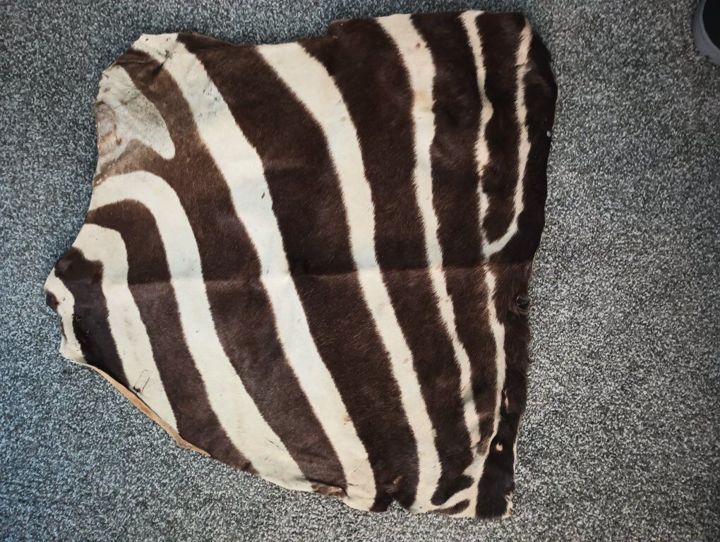 ZEBRA HIDE