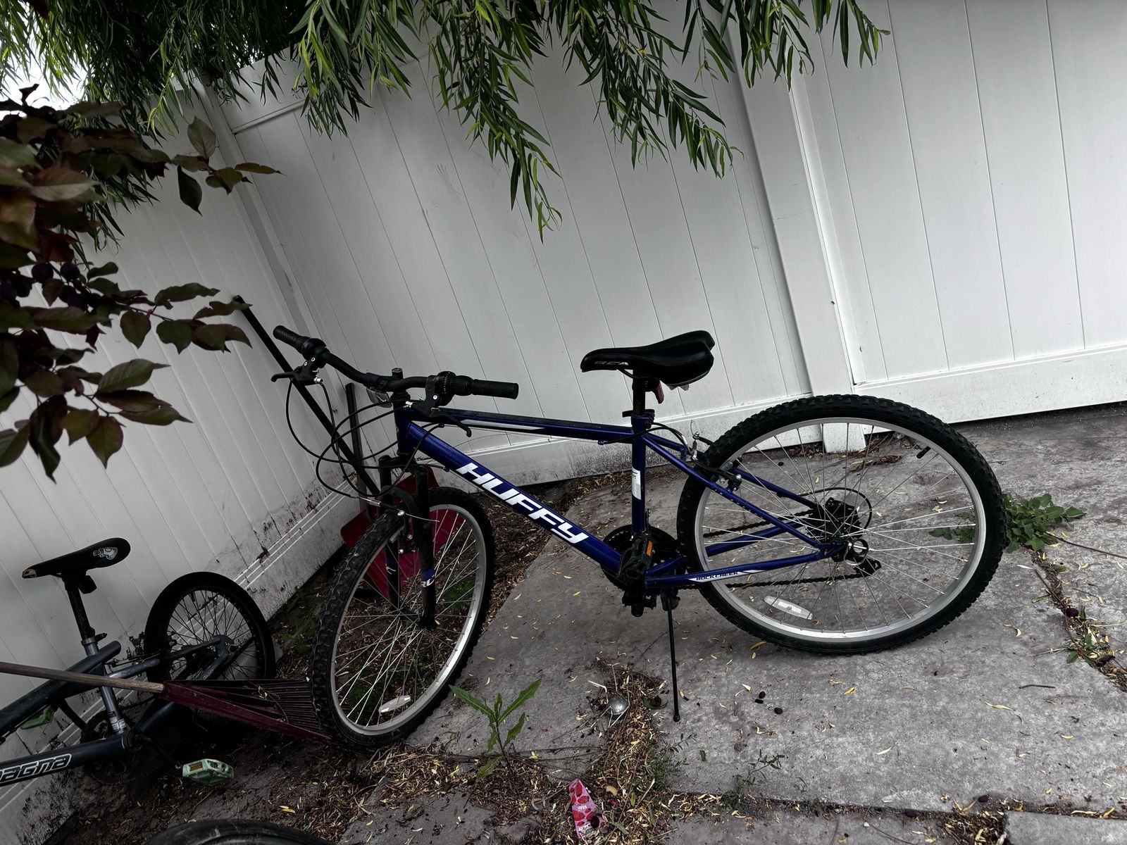 Blue bike
