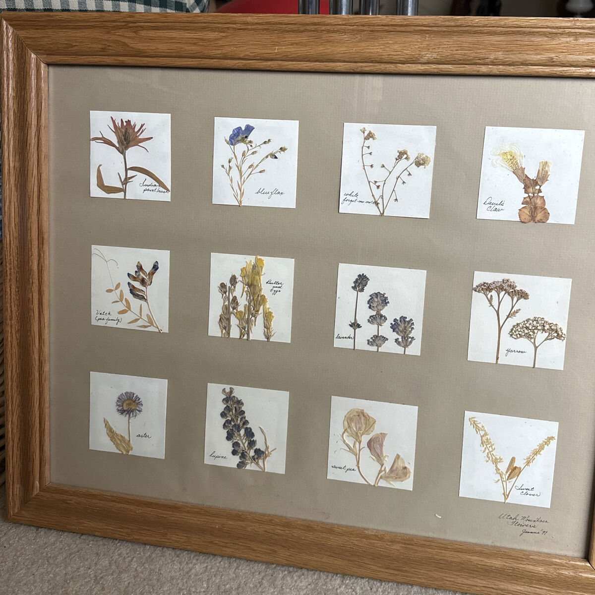 Pressed Wildfllowers Frame