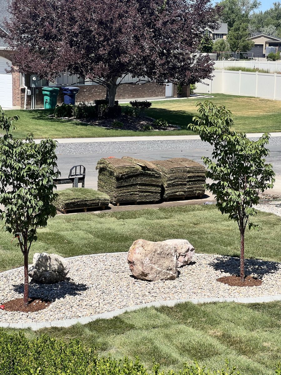 Fresh cut sod!