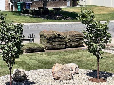 Fresh cut sod!