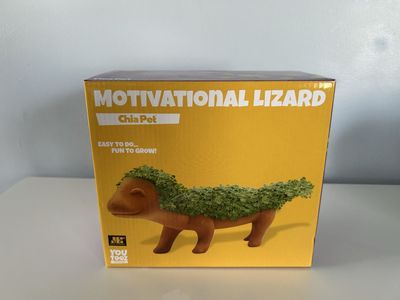 Youtooz Collectibles Sealed in Box Motivational Lizard Chia Pet