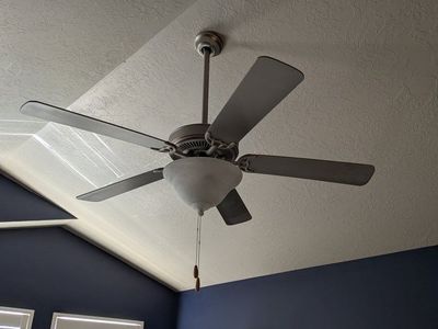 Ceiling fans