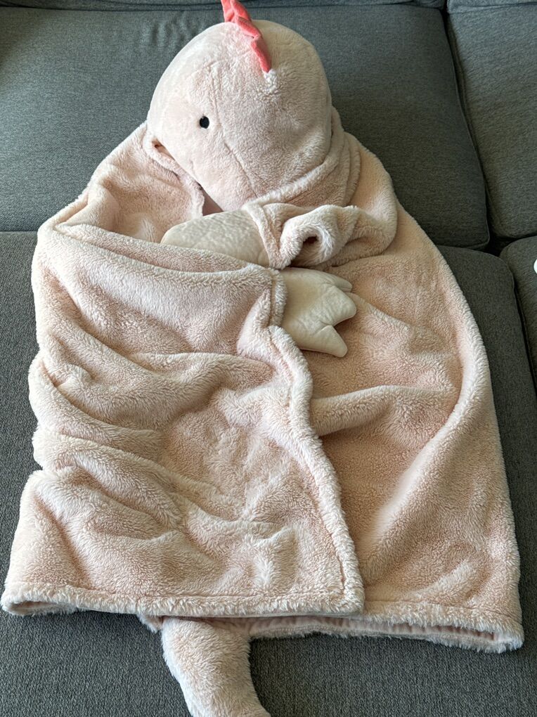 Pillowfort Dinosaur Kids' Hooded Blanket in pink