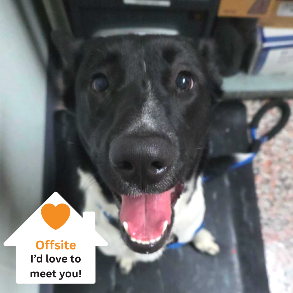 Hello my name is Coral