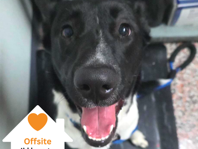 Hello my name is Coral