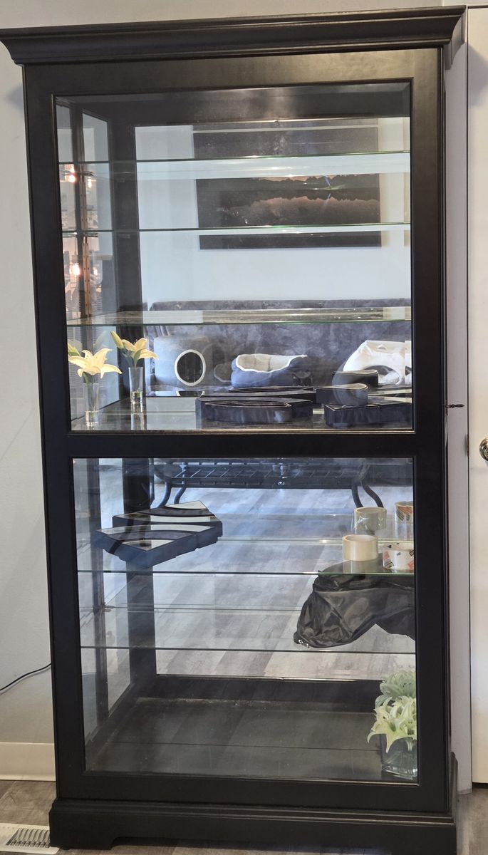 Black Wooden Glass Display Cabinet Curio Hutch with Glass Shelves