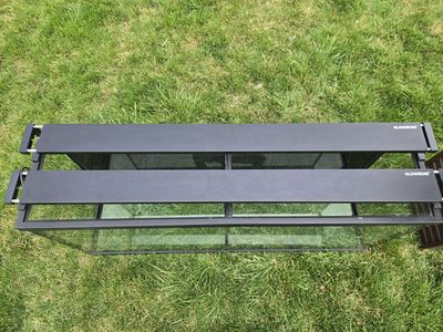 Glowrium Aquarium Lights