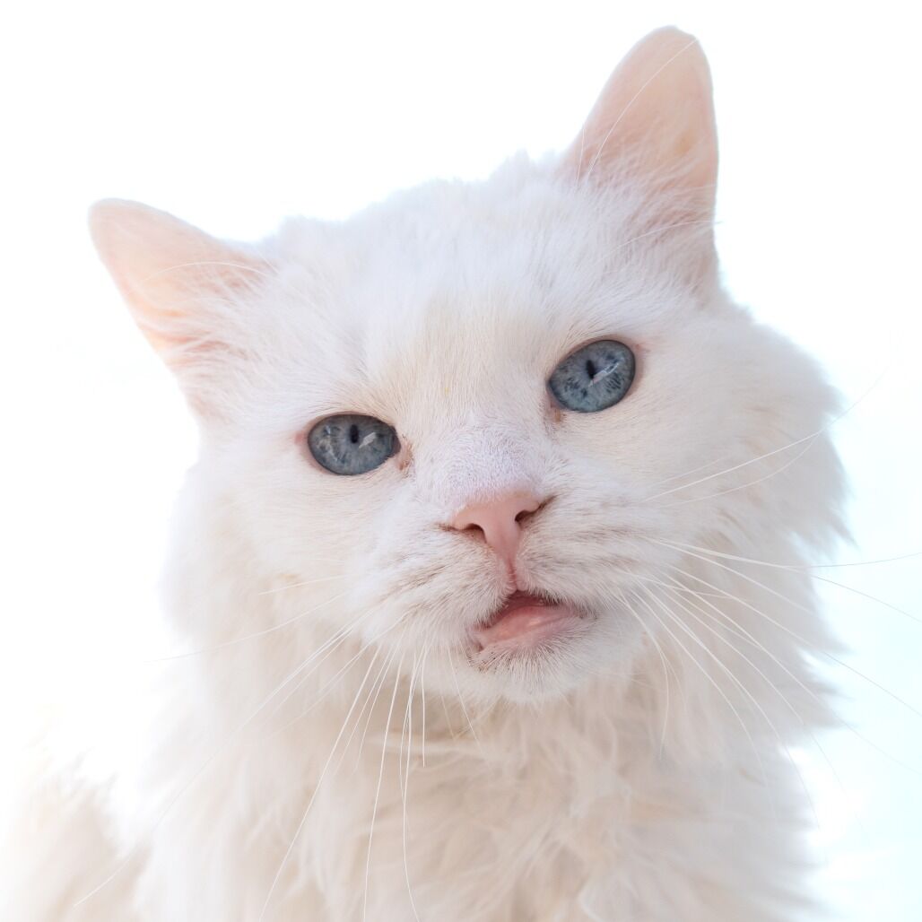 Hello my name is Mornay