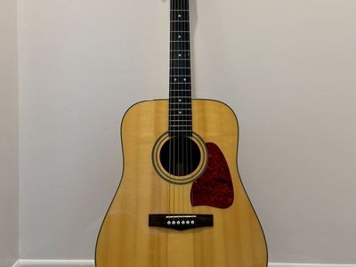 Ibanez AW-10 Acoustic Guitar