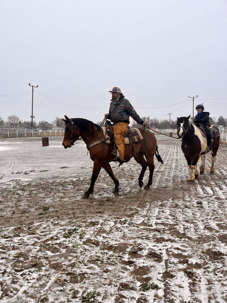 10 yo Grade mare