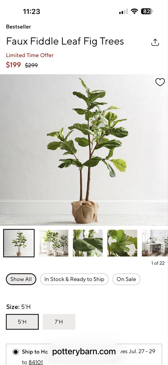 Pottery Barn Faux Fiddle Leaf Fog, 5 ft tall $100