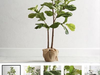 Pottery Barn Faux Fiddle Leaf Fog, 5 ft tall $100