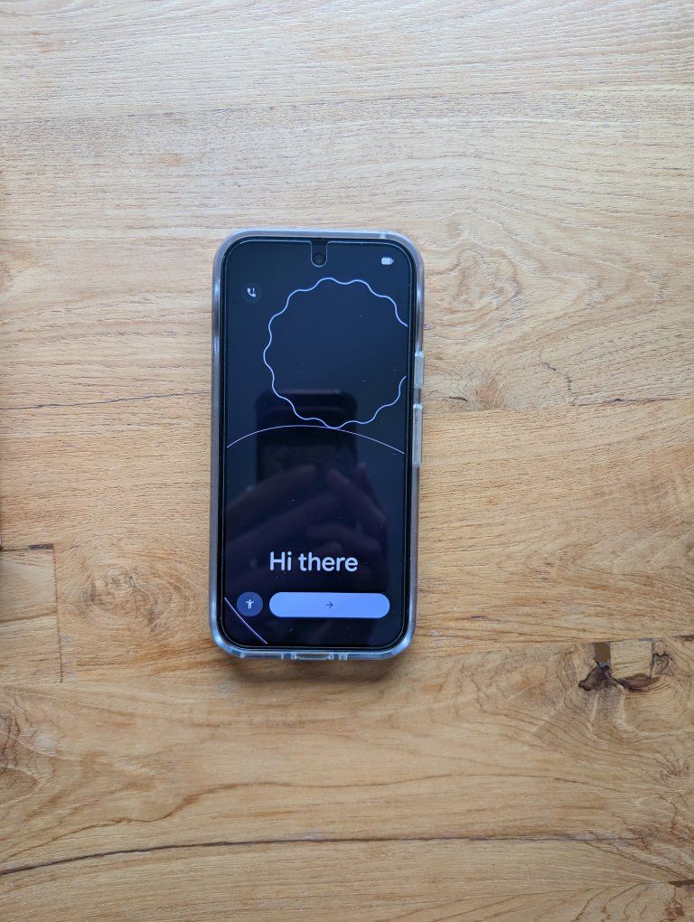 Unlocked Pixel 9 256GB