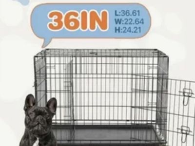 Medium Sized Dog Kennel