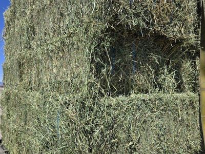 Alfalfa 3 String Bales Horse Hay FREE DELIVERY