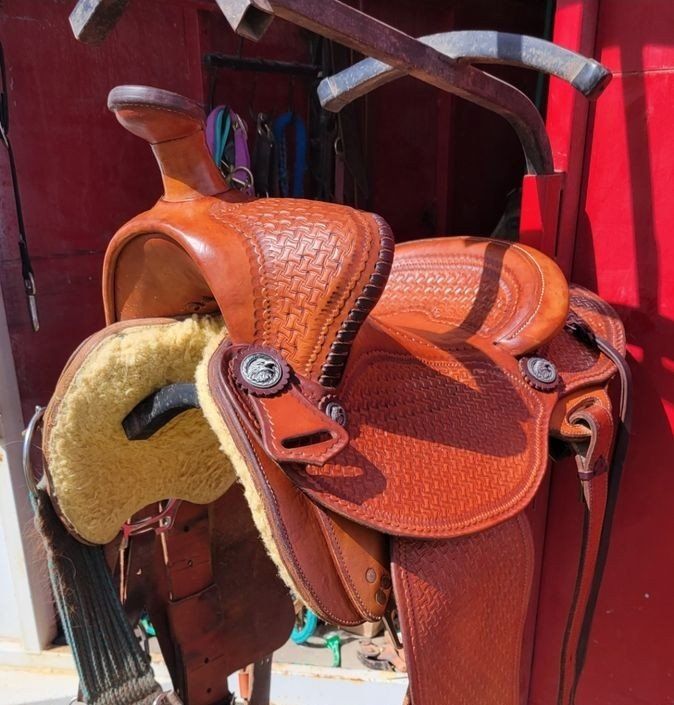 Custom Beartrap Saddle