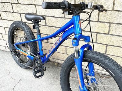Specialized Riprock 20” wheel kids Mtn bike w shock and disc brakes - $700 new, Rip Rock