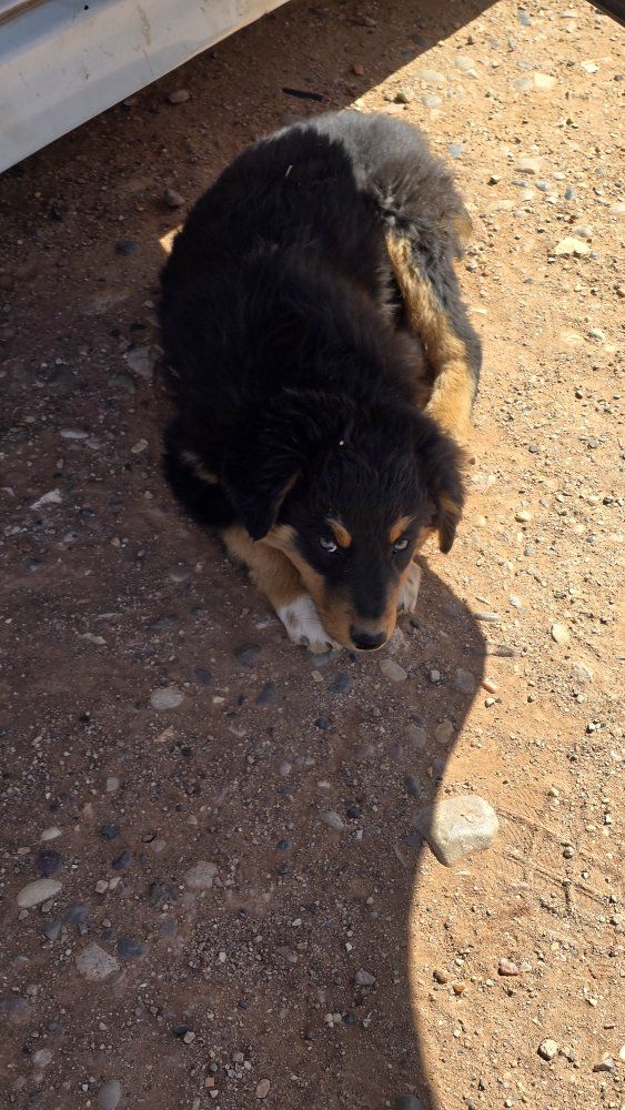 Looking for a Home!