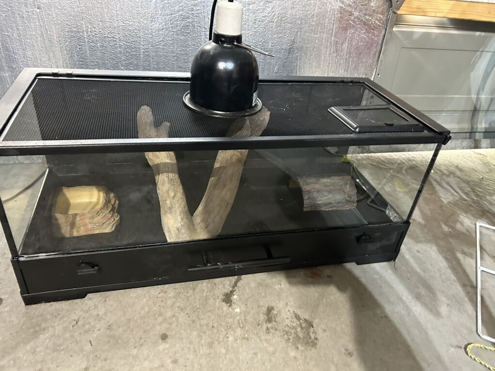 20 Gallon Reptile Set Up