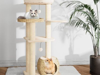 Modern Cat Tree, 53" Tall Cat Trees for Indoor Cats w/Natural Sisal Scratching Posts